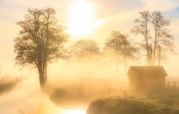 Een prachtige mist hangt over het landschap bij Landgoed Nienoord in Leek