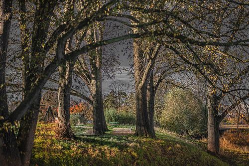 Herbstfarben auf dem Vest - die Stadtmauer von Enkhuizen von Harrie Muis