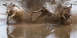 Jeder will in eine andere Richtung gehen von Anges van der Logt