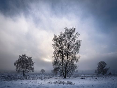 Winterwunderland in Ermelo von Eddy Westdijk