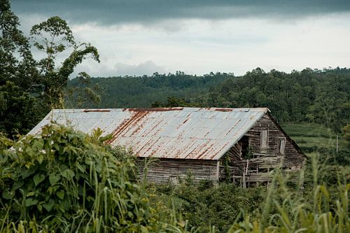 Kubanische Tabakscheune