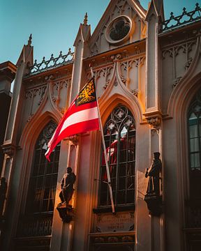 Drapeau de Den Bosch sur Roel Timmermans