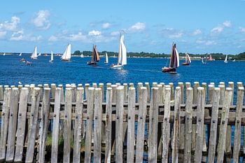 Summer breeze on the Dutch sea