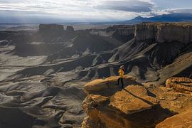Genieten van het uitzicht II van Martin Podt