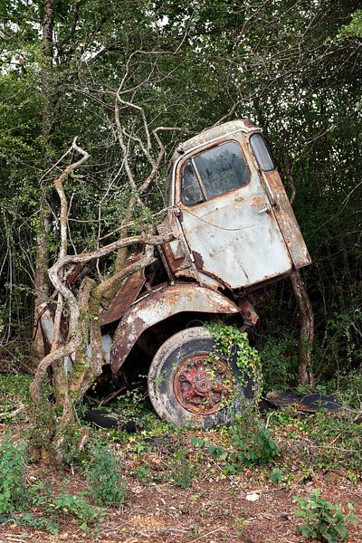 Abandoned truck with tree by Times of Impermanence