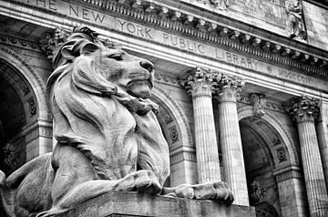 Leeuwenbeeld voor de openbare bibliotheek van New York - zwart-wit van marlika art