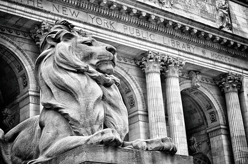 Leeuwenbeeld voor de openbare bibliotheek van New York - zwart-wit