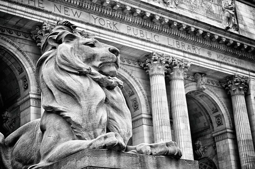 Lion statue in front of the New York Public Library - black and white by Marlika Art
