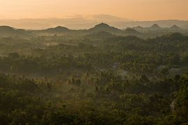 Morning Awakening in Bohol van Sebastian Stef
