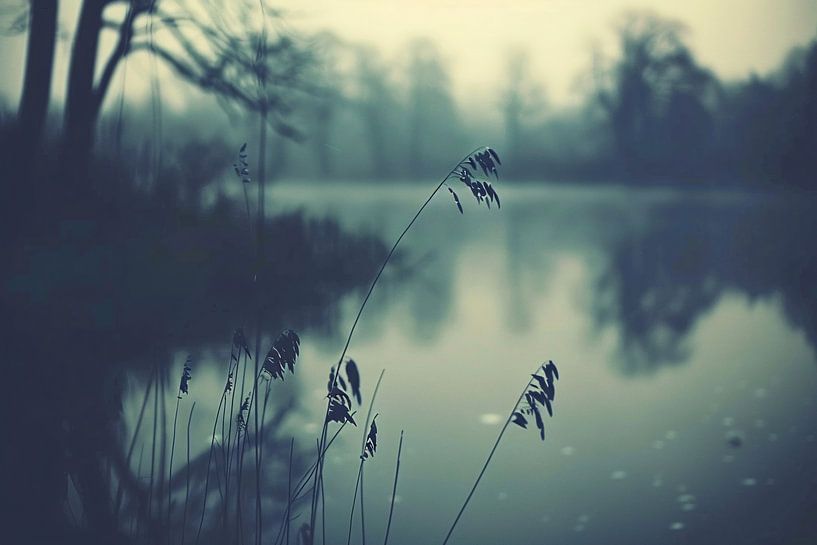 Tranquil lagoon at sunrise by Imperial Art House