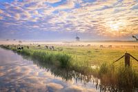 Dutch skies never get boring...