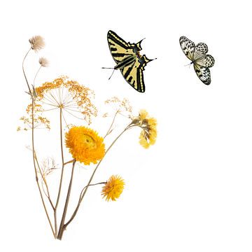 Gelbe Blumen mit Schmetterlingen von Anjo Kan