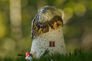 Zwerg neben Stinkwanze