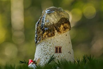 Gnome next to stink bug by Ilya Korzelius