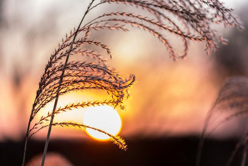 Zonsondergang Natuurfotografie van Nanda Bussers
