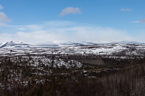 Berglandschap Finland