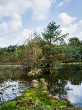 Tussen de Vennen van Mart Houtman