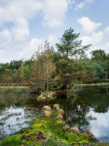Tussen de Vennen van Mart Houtman