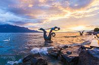 Fontaine à hippocampes à Vevey sur le lac Léman par Werner Dieterich Aperçu