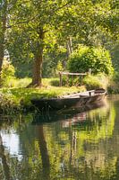 Boot in het Spreewald