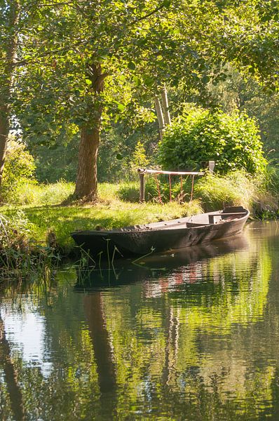 Boot in het Spreewald van Peter Baier