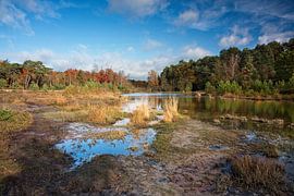 Roode Beek @ Brunssummerheide van Rob Boon