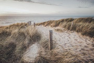 duin, strand en de zee van Dirk van Egmond