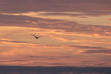 Meeuwsilhouet in avondrood van Swirling Entities