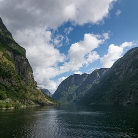 UNESCO Naeroyfjord in Norway by Patrick Verhoef