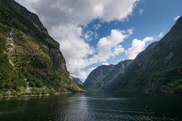 UNESCO Naeroyfjord in Noorwegen van Patrick Verhoef