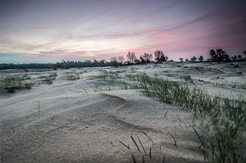 Zonsopkomst bij een zandverstuiving