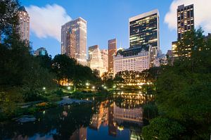 Central Park by night
