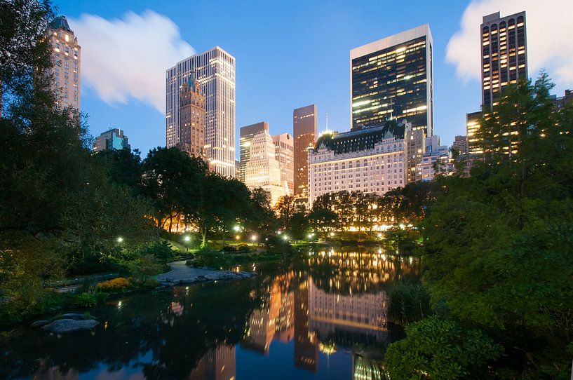 Central Park by night van Laura Vink