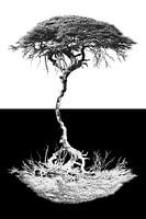 Tree of Life