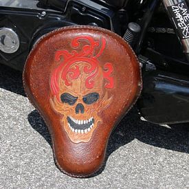 Harley-Davidson sur Matthias Brix