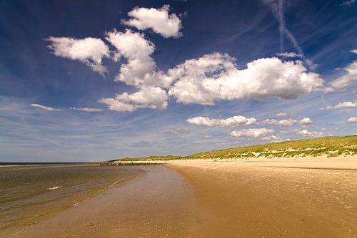 Langs de kust tussen Egmond en Bergen.