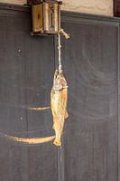 Fish drying on a house