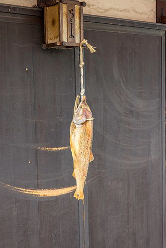 Fish drying on a house