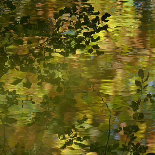Herfst palet