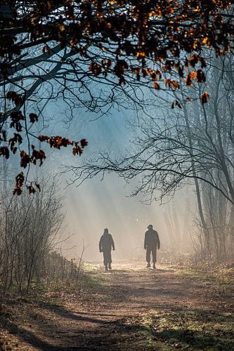 Forest walk, Regte Heide Goire