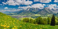 Bergpanorama vanuit het zuidwesten op Oberstdorf, Oberallgäu, Allgäu