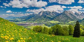 Bergpanorama von Südwesten auf Oberstdorf, Oberallgäu, Allgäu von Walter G. Allgöwer