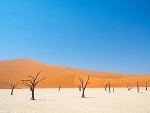 Zandduinen van de Sossusvlei woestijn in Namibië van Teun Janssen