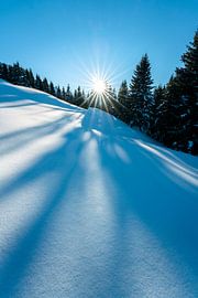 Winter magic with blue sky by Leo Schindzielorz