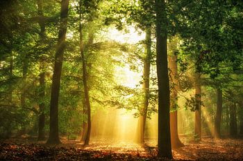 hidden in plain sight