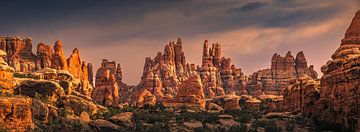 Panorama du parc de Chesler, PN de Canyonlands, Utah
