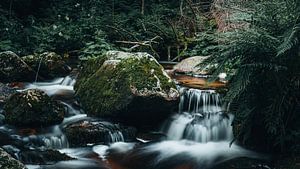 Chute d'eau dans la Forêt-Noire sur Coert van Opstal