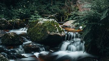 Waterfall in the Black Forest by Coert van Opstal