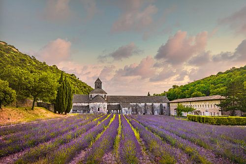 Abbaye de Sénanque