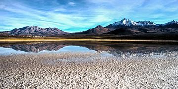 Altiplano Chile by Stefan Havadi-Nagy